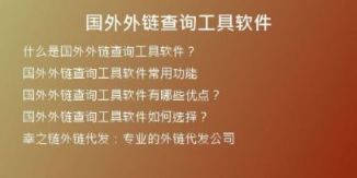 國(guó)外外鏈查詢工具軟件