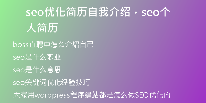 seo優(yōu)化簡歷自我介紹，seo個(gè)人簡歷