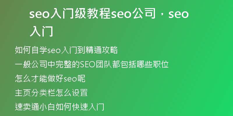 seo入門級(jí)教程seo公司，seo 入門