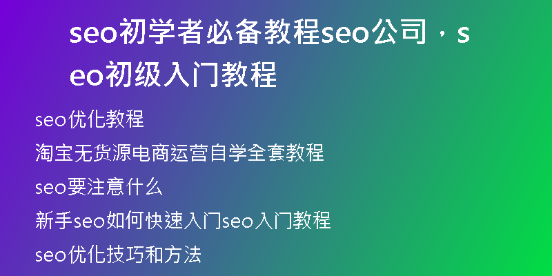 seo初學(xué)者必備教程seo公司，seo初級(jí)入門教程