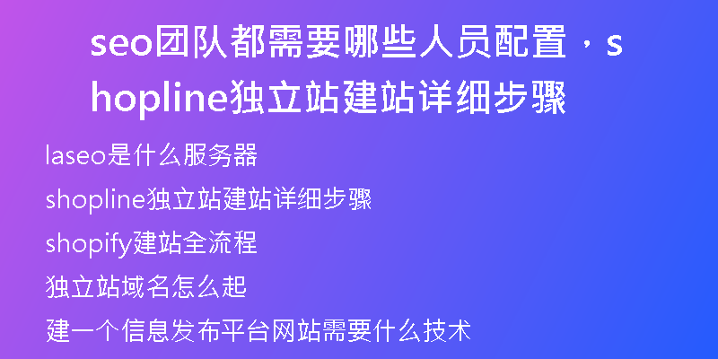 seo團(tuán)隊(duì)都需要哪些人員配置，shopline獨(dú)立站建站詳細(xì)步驟