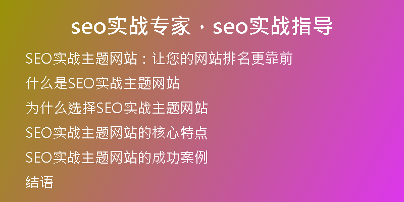 seo實(shí)戰(zhàn)專家，seo實(shí)戰(zhàn)指導(dǎo)