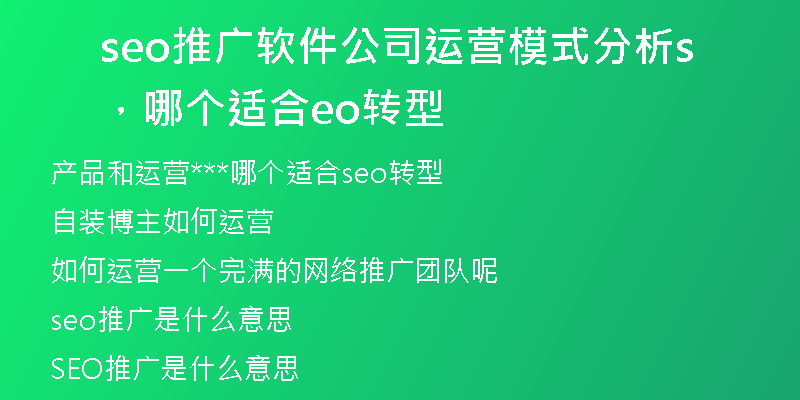 seo推廣軟件公司運(yùn)營模式分析，哪個(gè)適合seo轉(zhuǎn)型
