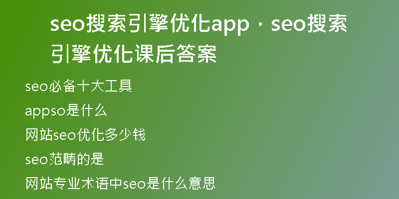 seo搜索引擎優(yōu)化app，seo搜索引擎優(yōu)化課后答案