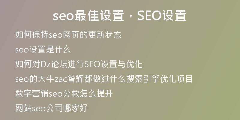 seo最佳設(shè)置，SEO設(shè)置