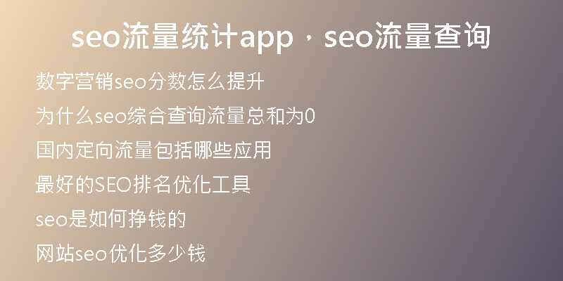 seo流量統(tǒng)計(jì)app，seo流量查詢