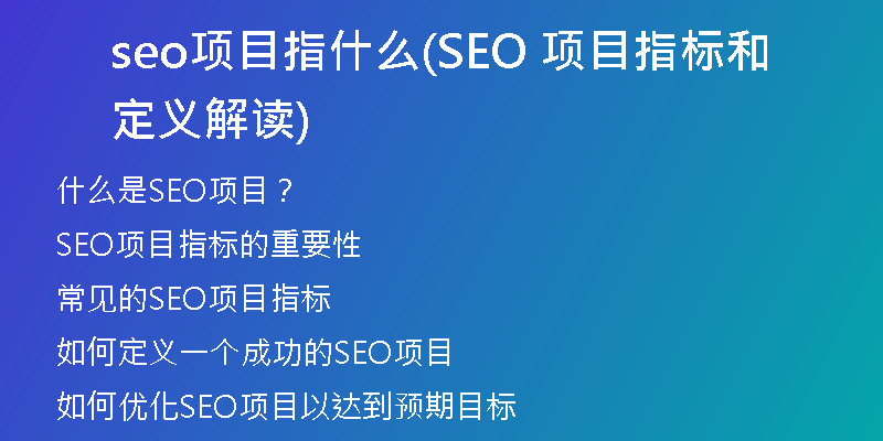 seo項目指什么(SEO 項目指標和定義解讀)