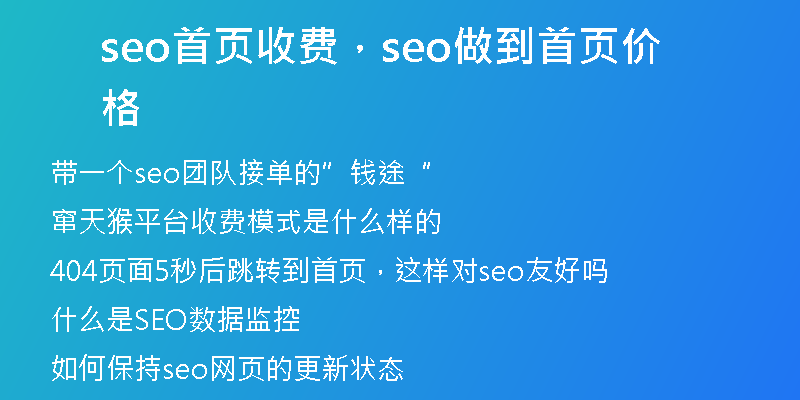 seo首頁收費，seo做到首頁價格