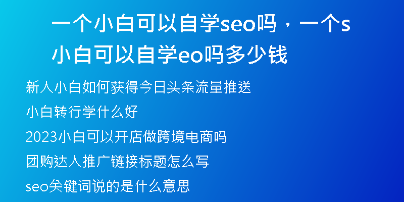 一個小白可以自學(xué)seo嗎，一個小白可以自學(xué)seo嗎多少錢