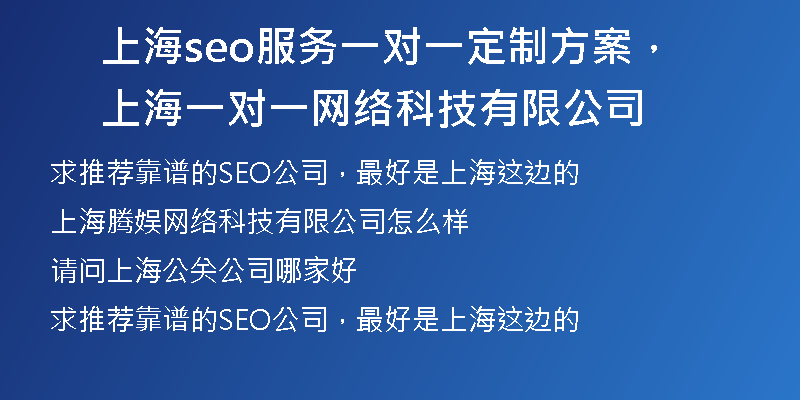 上海seo服務(wù)一對一定制方案，上海一對一網(wǎng)絡(luò)科技有限公司