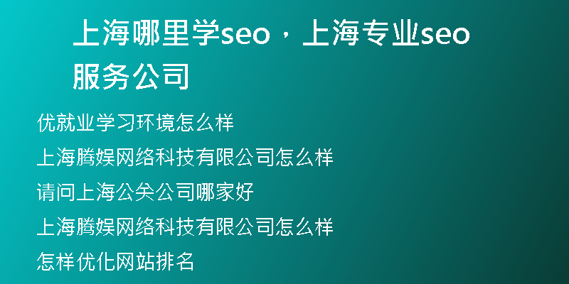 上海哪里學(xué)seo，上海專業(yè)seo服務(wù)公司