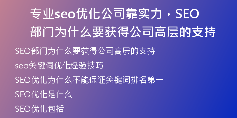 專業(yè)seo優(yōu)化公司靠實(shí)力，SEO部門為什么要獲得公司高層的支持
