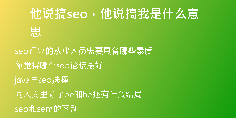 他說搞seo，他說搞我是什么意思