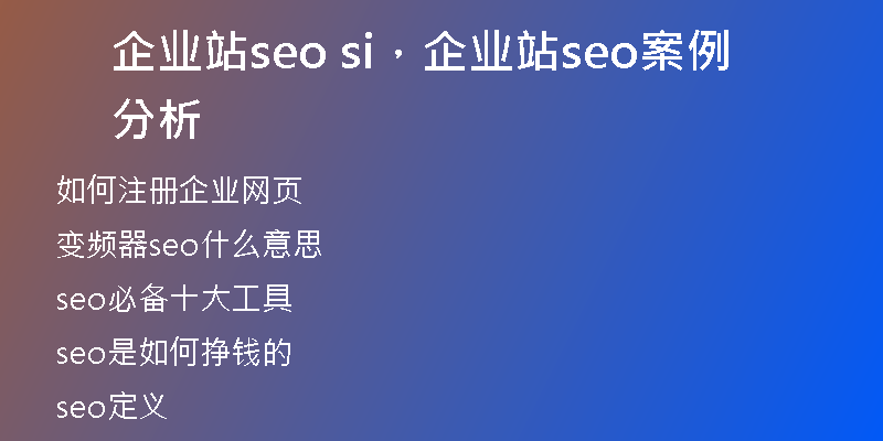 企業(yè)站seo si，企業(yè)站seo案例分析
